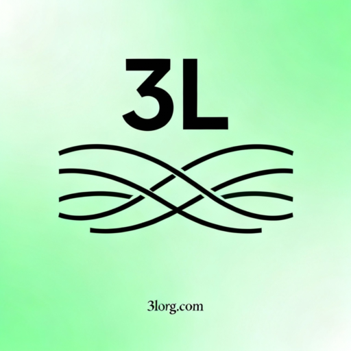3L